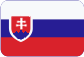 Kursy języka czeskiego dla obcokrajowców Slovensky